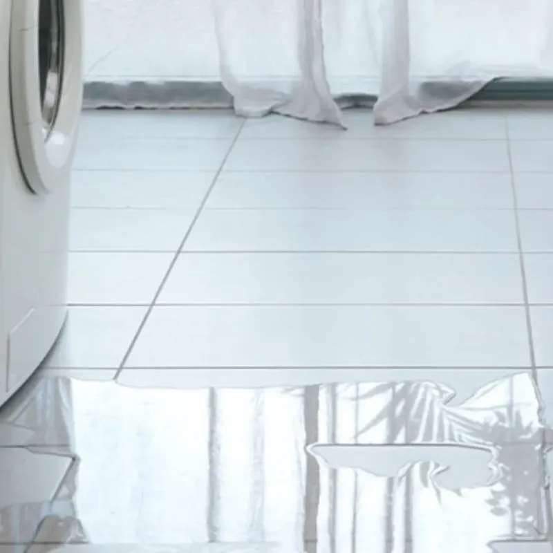 Appliance Leak Cleanup in Shelby County, KY