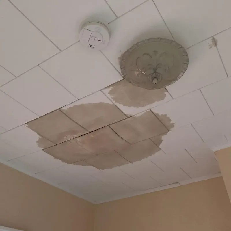 Ceiling Water Damage Repair in Shelby County, KY