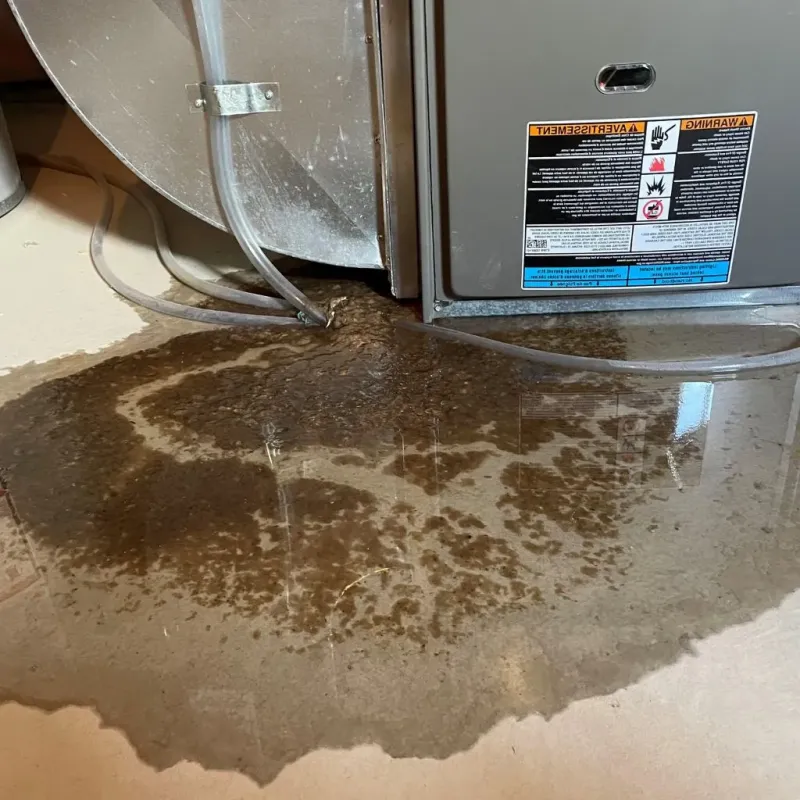 Pipe Burst and Leak Restoration in Shelby County, KY