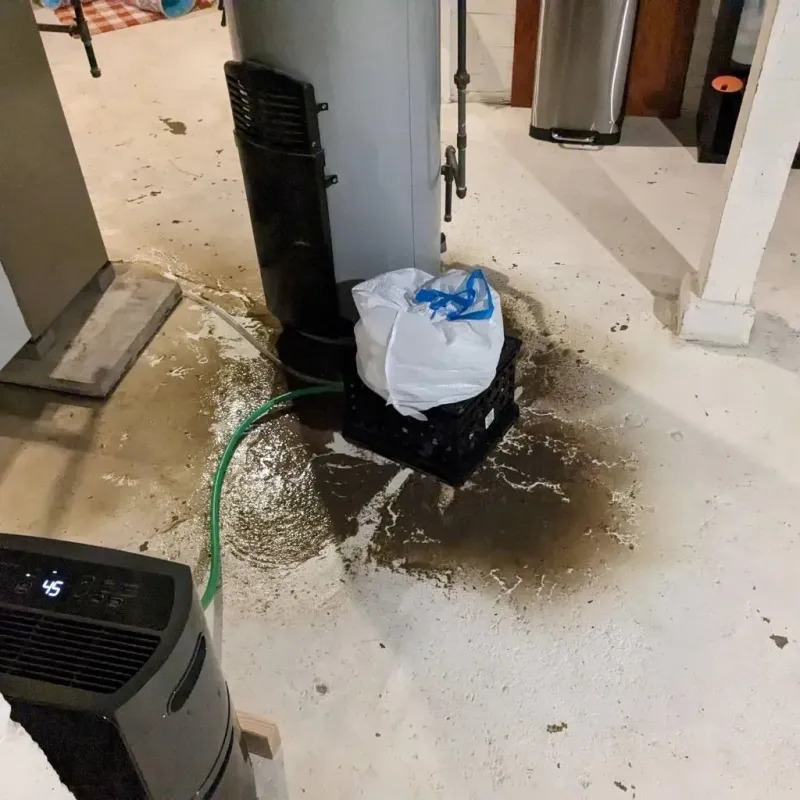 Sewage Backup Cleanup Service in Shelby County, KY